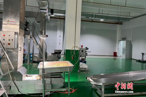 萬千氣象看云南丨從一顆核桃開始，在西南邊陲探索“一縣一業(yè)”熱能產(chǎn)品研發(fā)